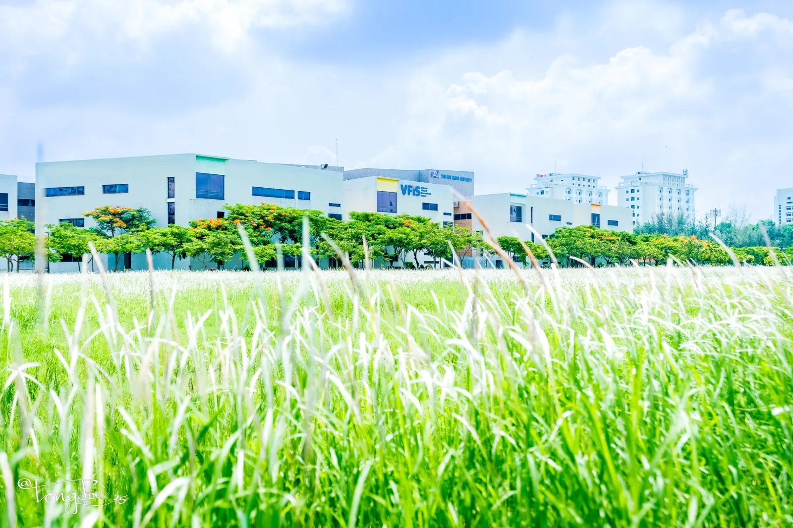 Trường Quốc Tế Việt Nam - Phần Lan (VFIS)