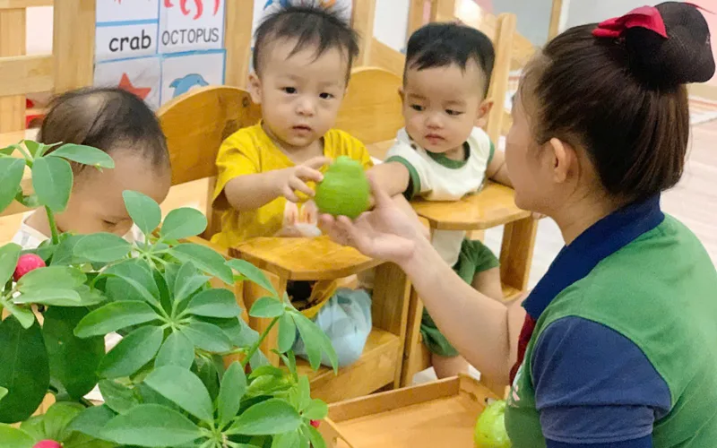 Hoạt động học tập