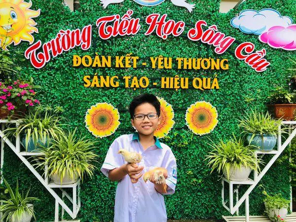 Trường Tiểu Học Sông Cầu