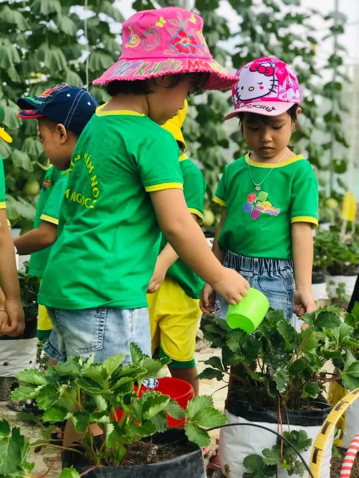 Trường Mầm Non Kim Ngọc