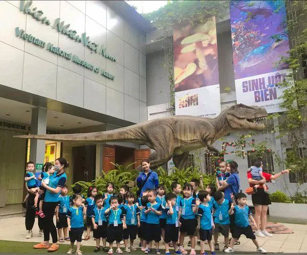 Trường Mầm Non Dream Kids