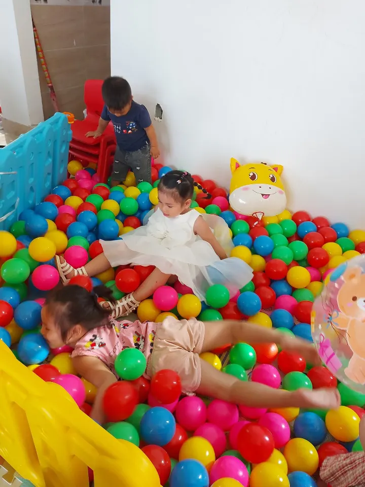 Trường Mầm Non Song Ngữ Kim Đồng