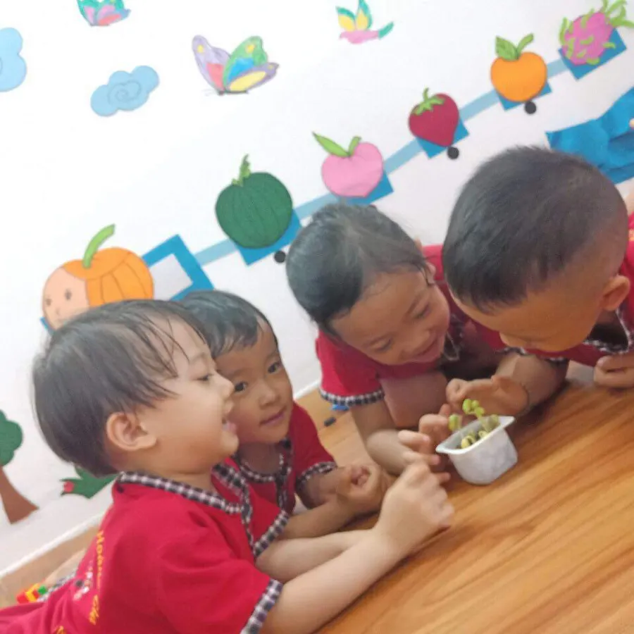 Trường Mầm Non Hoàng Gia