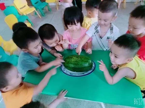 Trường Mầm Non Hoa Hồng