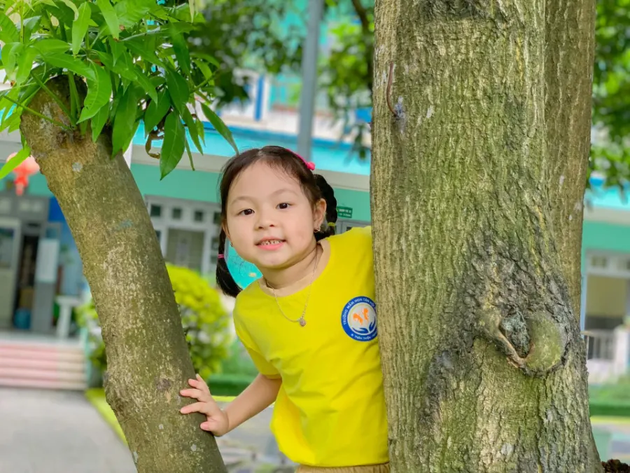 Trường Mầm Non Tân Hội A
