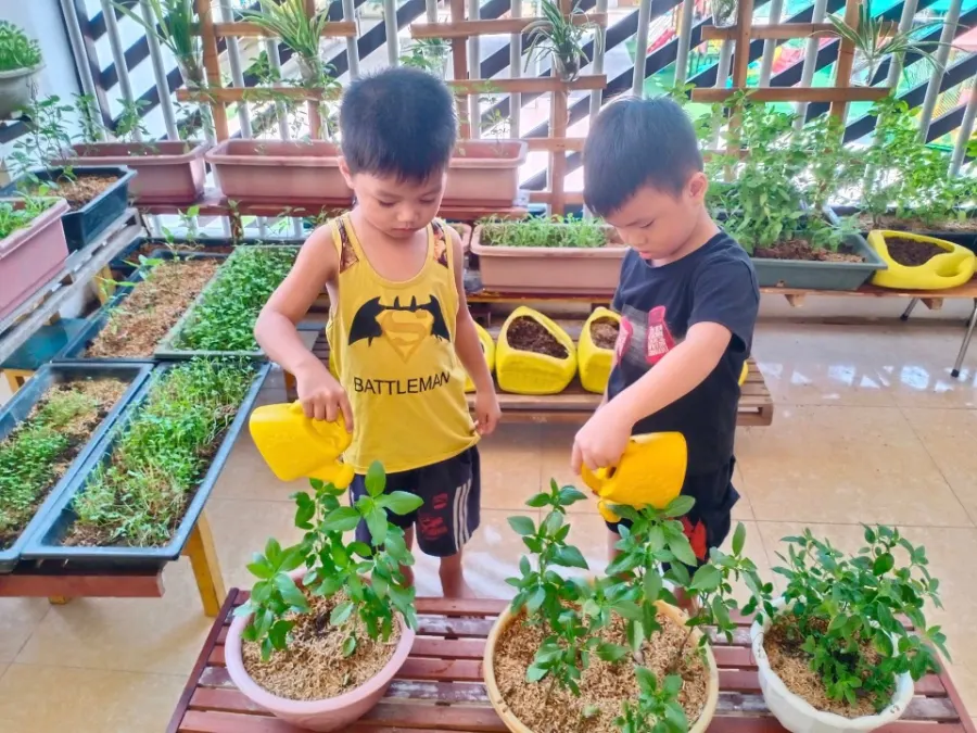 Trường Mầm Non Thạch Linh