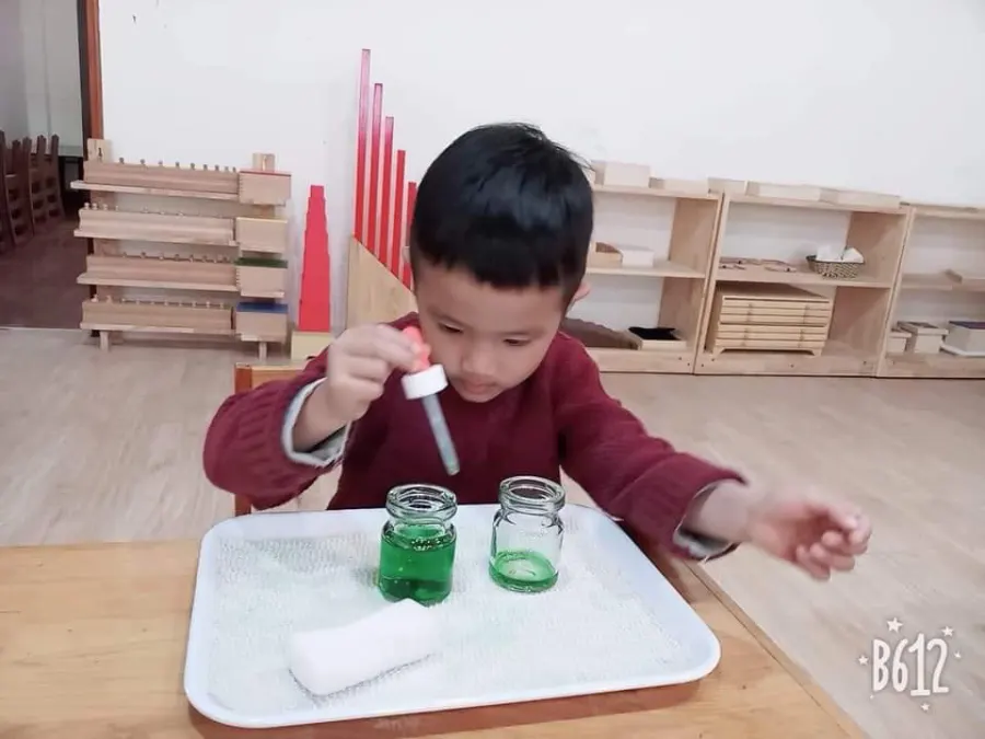 Trường Mầm non song ngữ Kangaroo Montessori