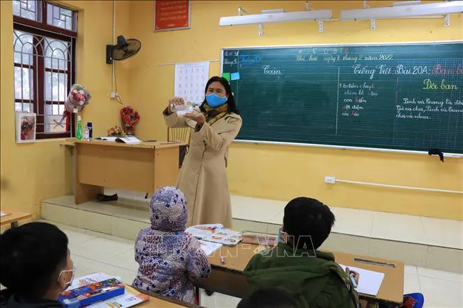Trường tiểu học Việt Thống