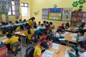 Trường tiểu học Bồng Lai