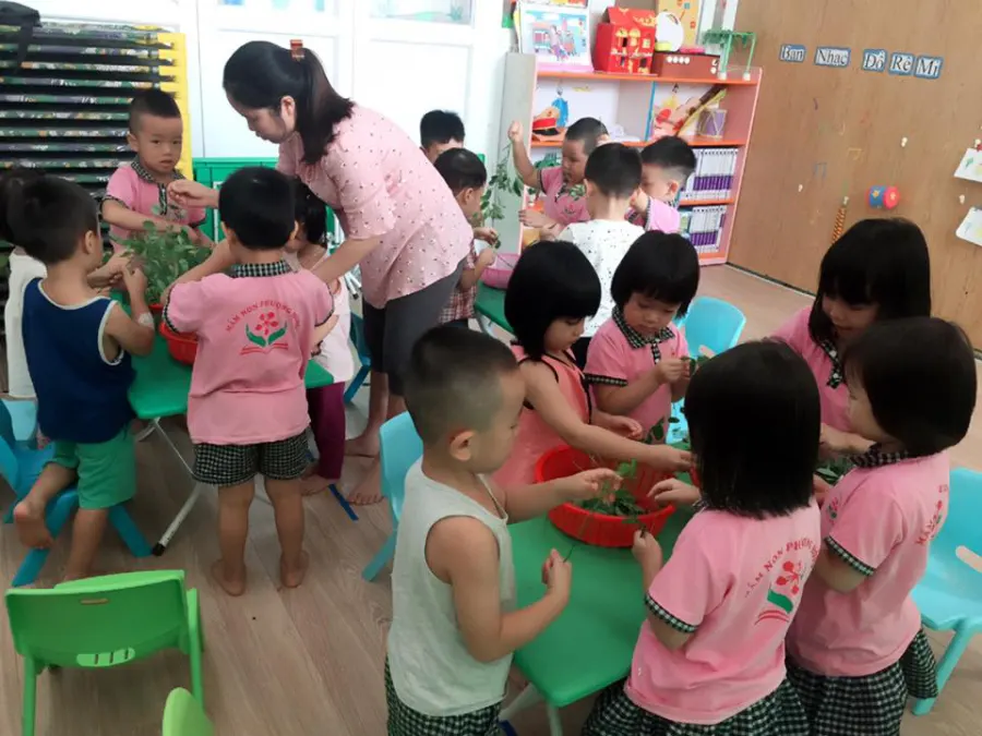 Trường mầm non Phượng Hồng