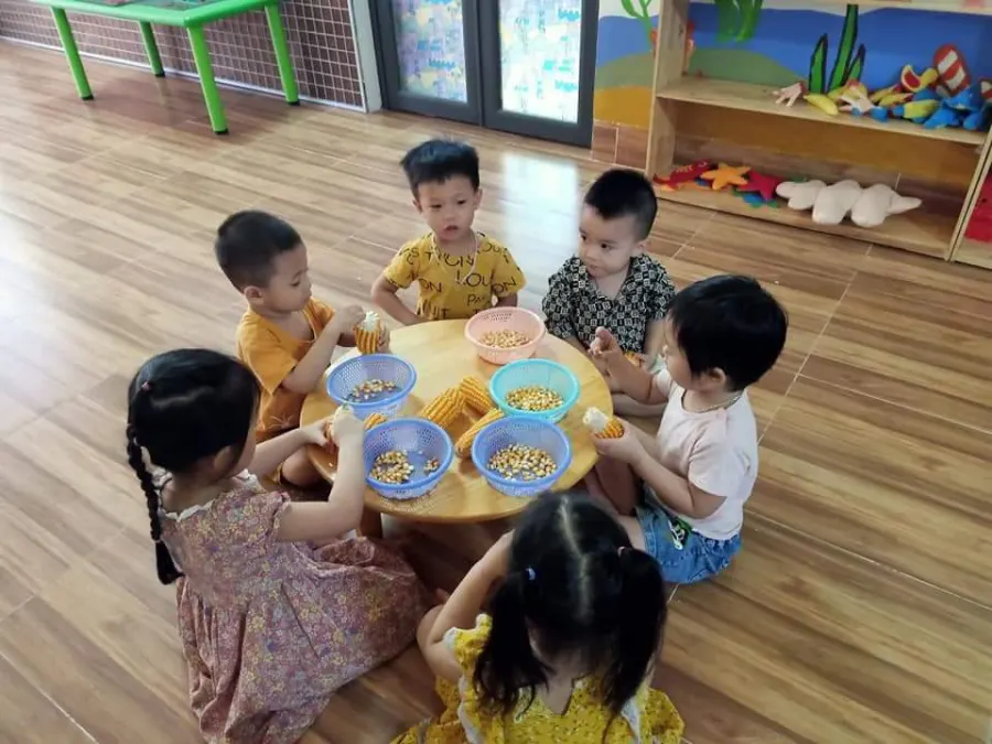 Trường Mầm Non Hoa Mặt Trời - Phù Ninh