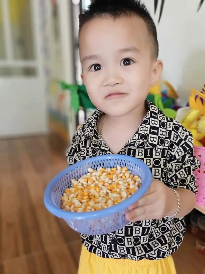 Trường Mầm Non Hoa Mặt Trời - Phù Ninh