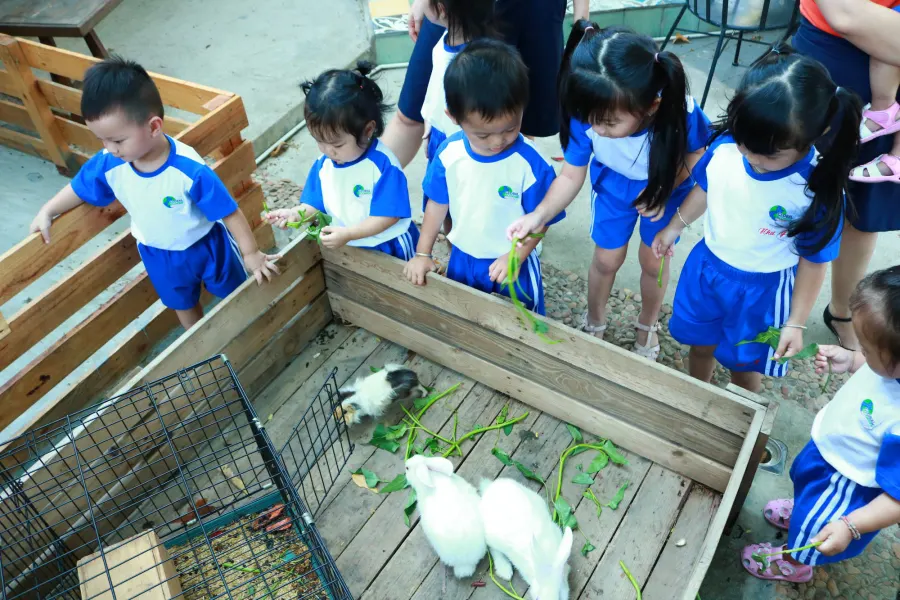 Trường mầm non quốc tế Global Ecokids Cityland
