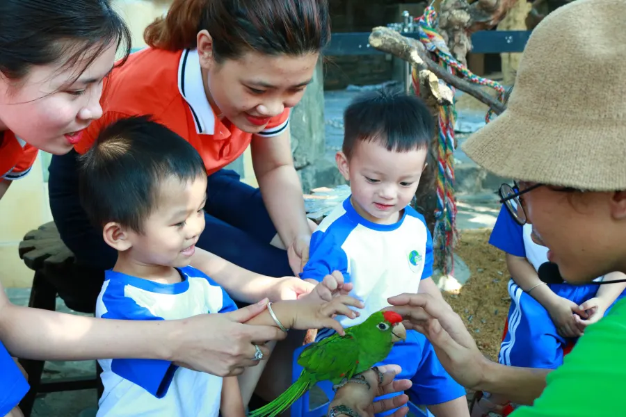 Trường mầm non quốc tế Global Ecokids Cityland