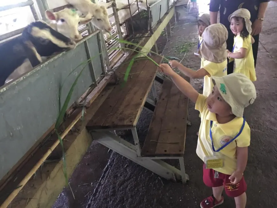 Trường mầm non Himawari (Himawari Kindergarten) Cơ sở 1