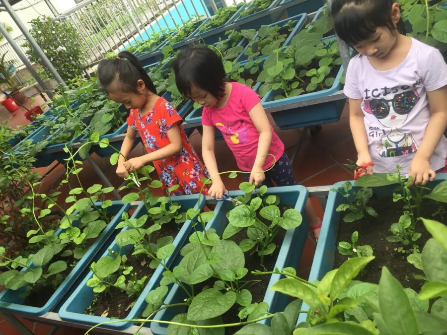 Trường mầm non Family