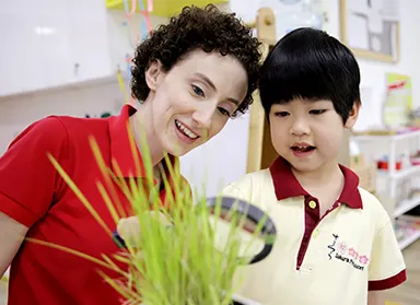 Trường mầm non Sakura Montessori (SMIS)