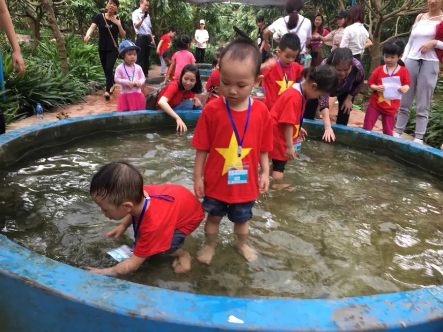 Trường mầm non Mai Anh