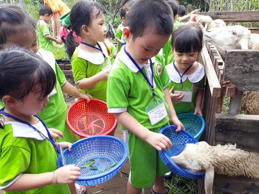 Trường mầm non Nam Mỹ (ASIE) - Bạch Đằng, Tân Bình