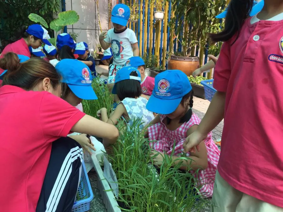 Trường mầm non Ngôi Sao Thanh Đa