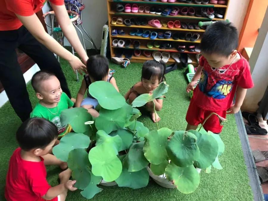 Trường mầm non Phương Anh Montessori - Duyên Thái, Thường Tín