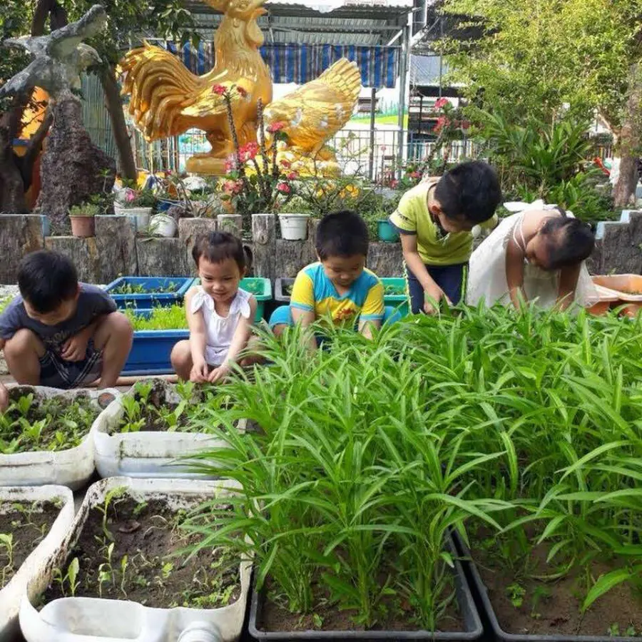 Mầm Non Ban Mai