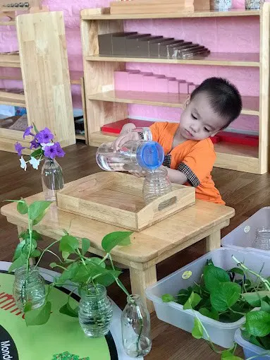 Mầm Non Sao Việt - Phường Hiệp Bình Phước