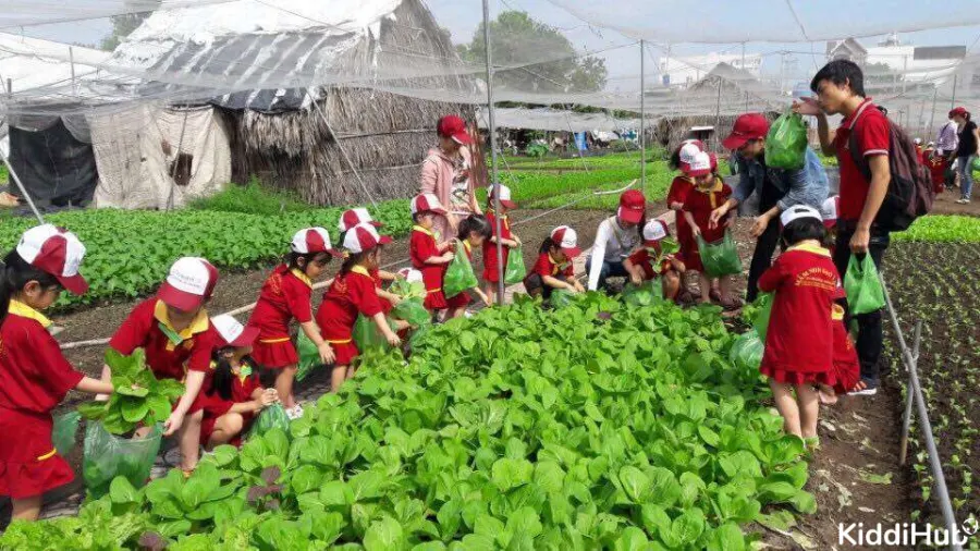 Trường mầm non Sao Vàng