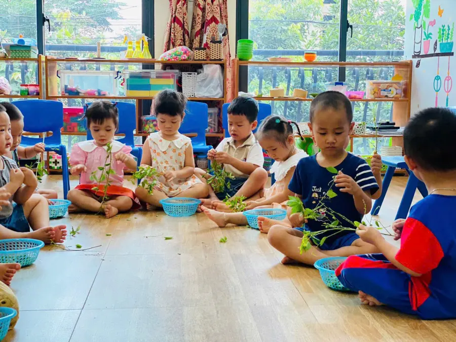 Trường mầm non Trí Tuệ Việt (VietIQ Preschool)