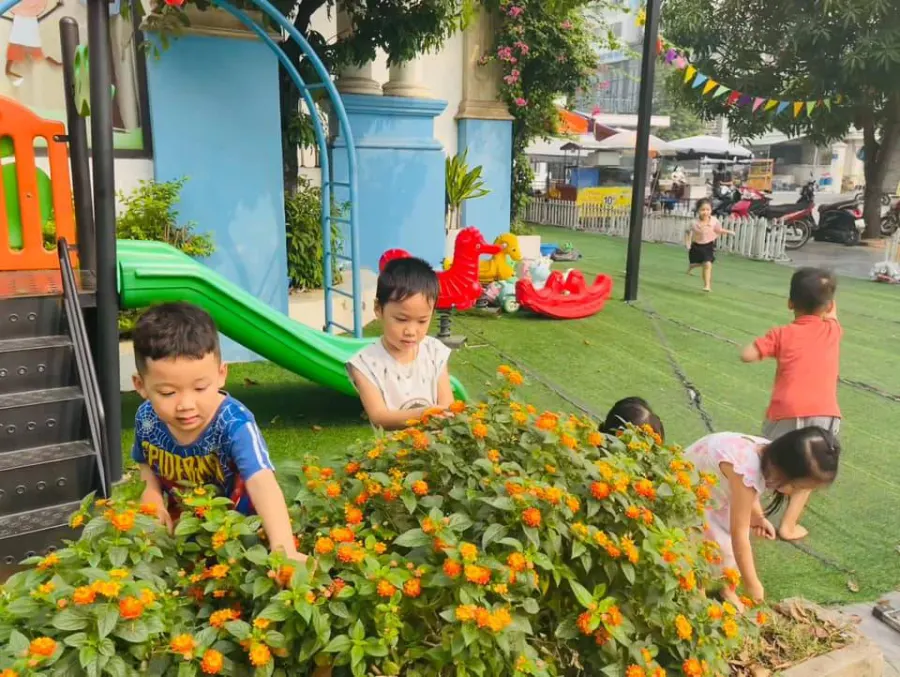Trường Mầm non Ngôi Nhà Mơ Ước - Dream House Bilingual Preschool