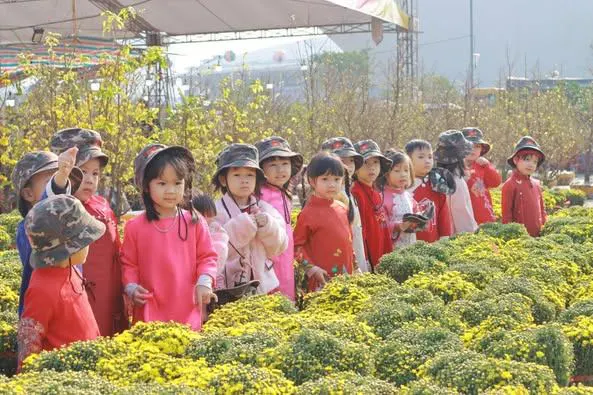 Trường Mầm non My Montessori - Tp Hạ Long