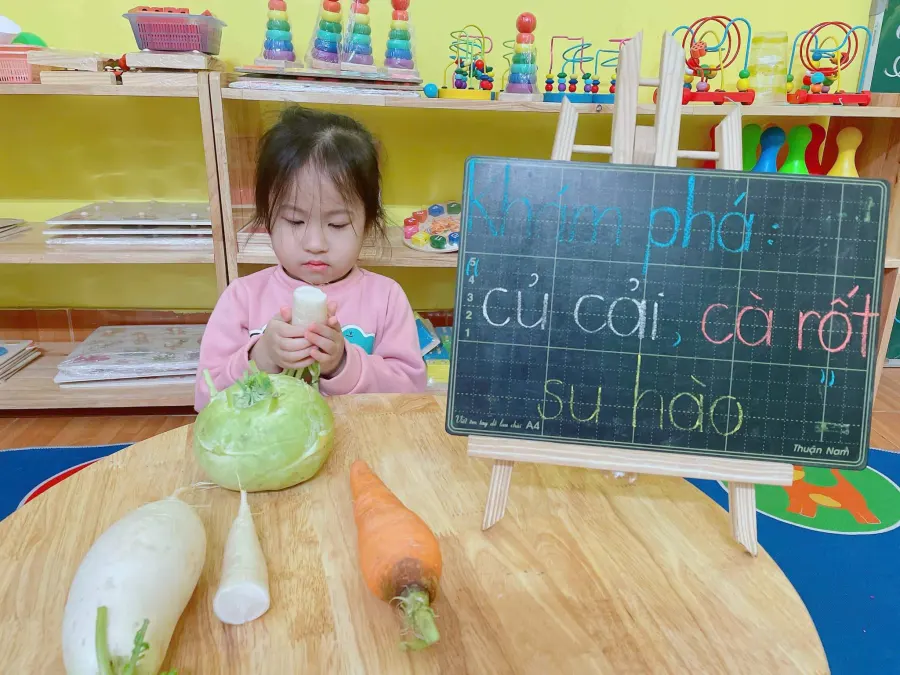 Trường Mầm non Hoa Hướng Dương CS2