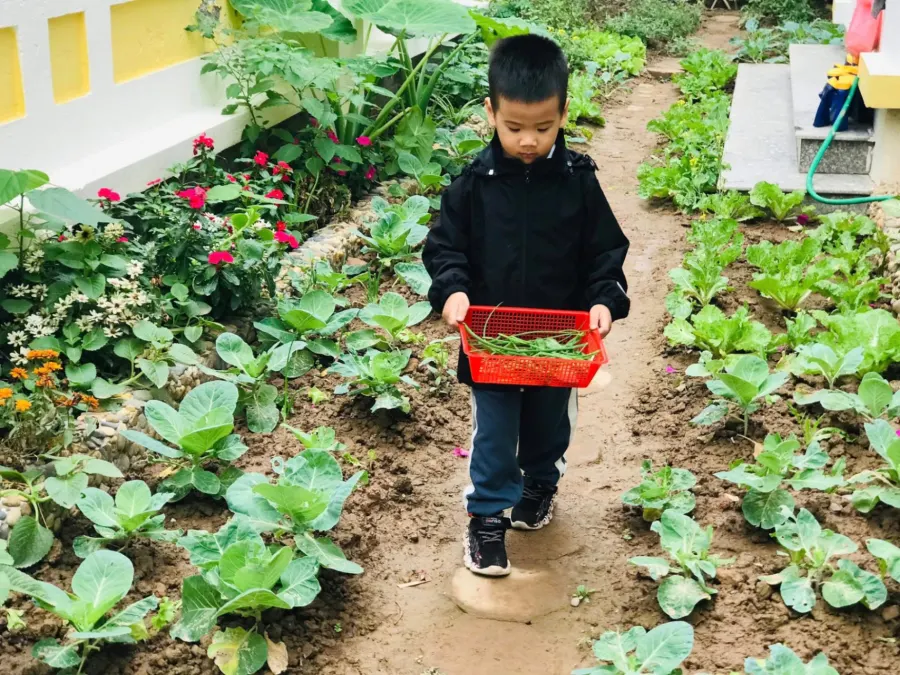 Trường Mầm non BEeHappy Geleximco