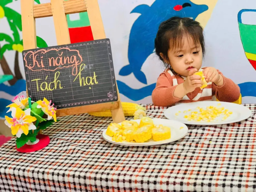 Trường Mầm Non Ngôi Sao Nhỏ CS1 - TP Vinh