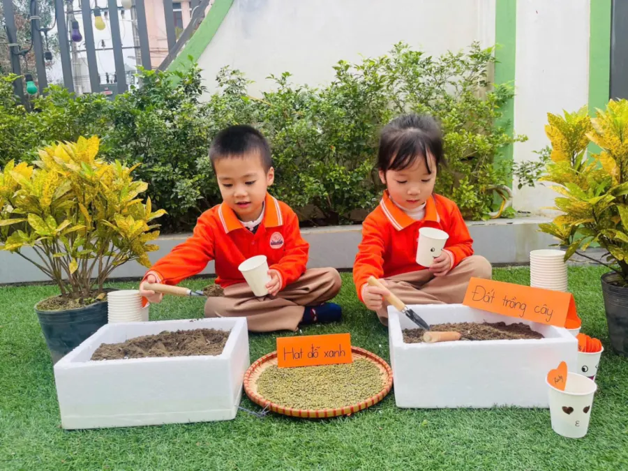Trường Mầm Non Korea Sunkids