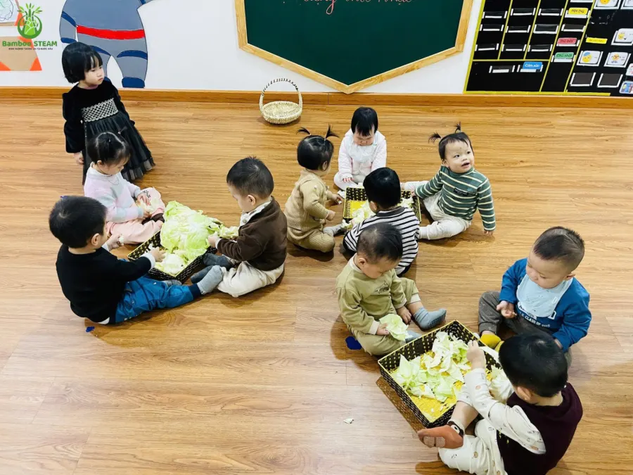 Trường mầm non Bamboo STEAM - Bamboo STEAM Kindergarten