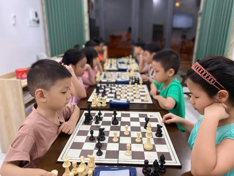 Câu lạc bộ cờ vua Đà Nẵng Daisy Chess