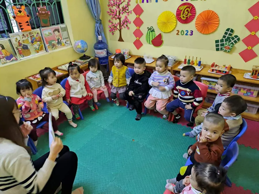 Mầm Non Mai Vàng