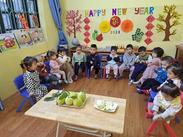 Mầm Non Mai Vàng