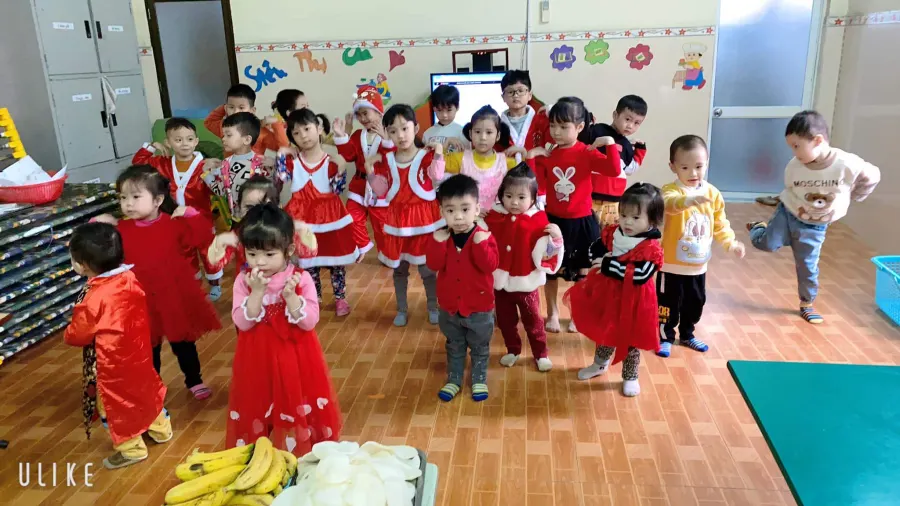 Mầm Non Tuổi Hoa