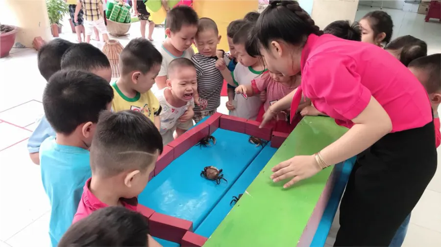 Trường mầm non Họa Mi - Phường 5 - Cơ sở 2