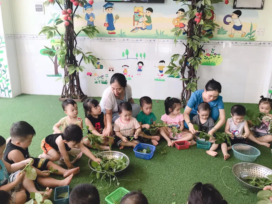 Trường mầm non Trúc Quỳnh - An Cư 3, Sơn Trà