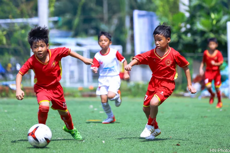 Trung tâm bóng đá Nam Việt