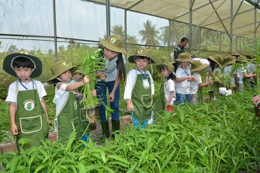 Trường mầm non Chim Cánh Cụt