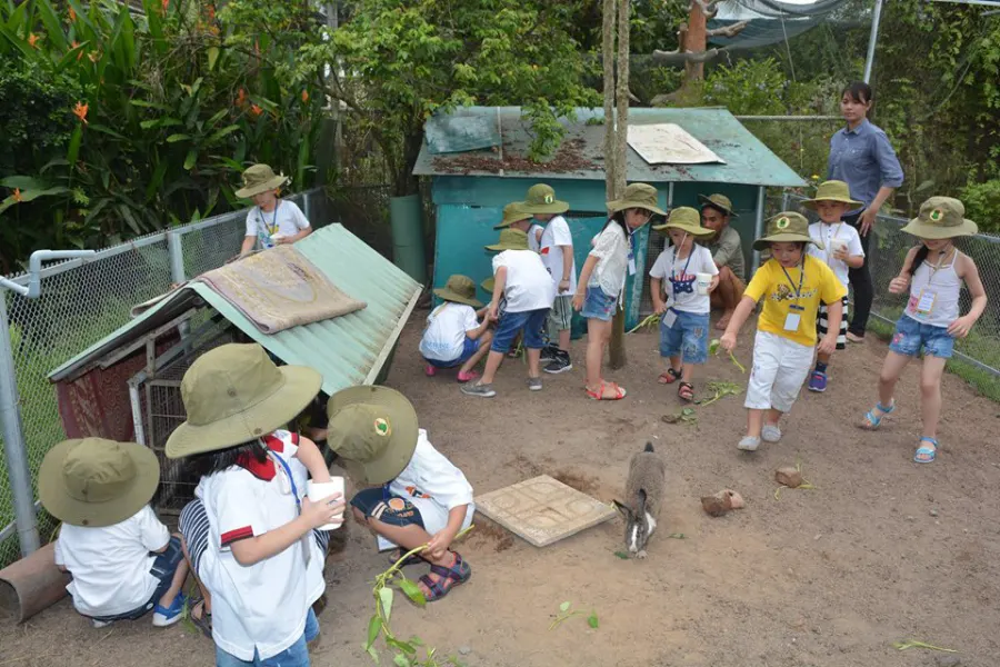 Trường mầm non Chim Cánh Cụt