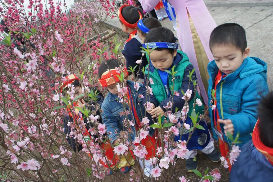 Trường mầm non Ngôi Sao Việt Mĩ (American School) Cơ sở 2