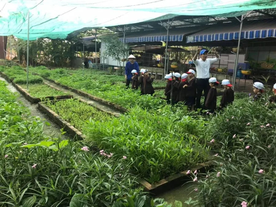 Trường mầm non tư thục Trúc Huy