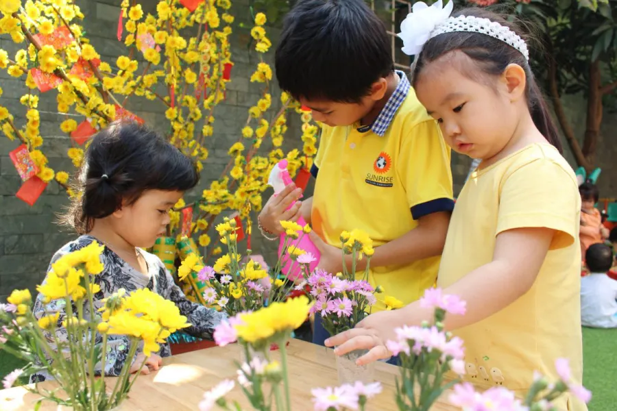 Trường Mầm Non Song Ngữ Sunrise Bilingual Kindergarten (SUNRISE) - Đường số 8, Quận 7