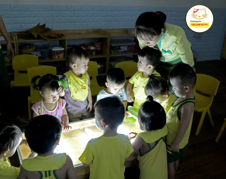 Trường mầm non Con Mèo Vàng