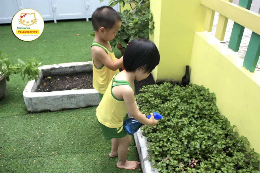 Trường mầm non Con Mèo Vàng